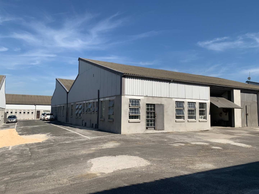 To Let commercial Property for Rent in Stikland Industrial Western Cape